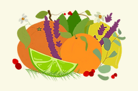 OAK & WILLOW logo