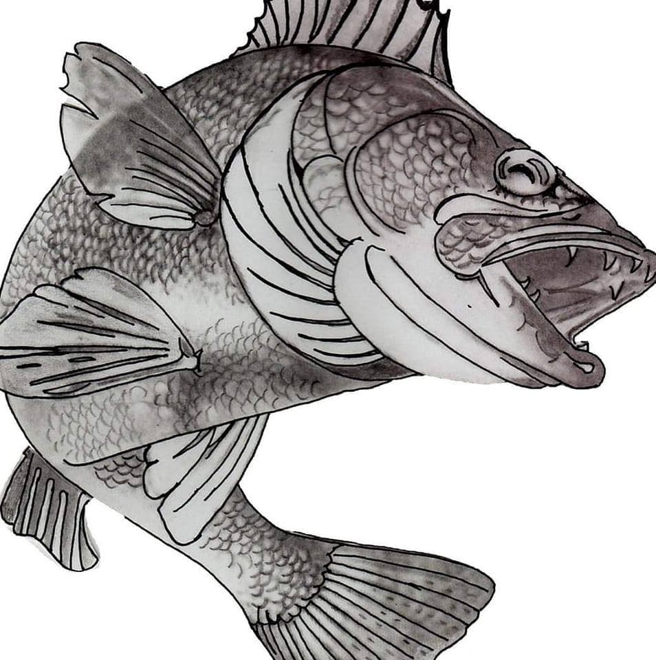 SOUTH RIVER RESORT LTD. logo
