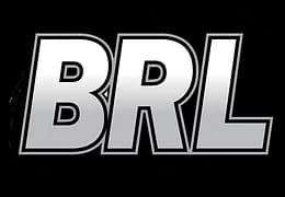 BERNARD ROCHEFORT LTD. logo