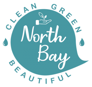 Clean Green and Beautiful Initiative Coming Soon