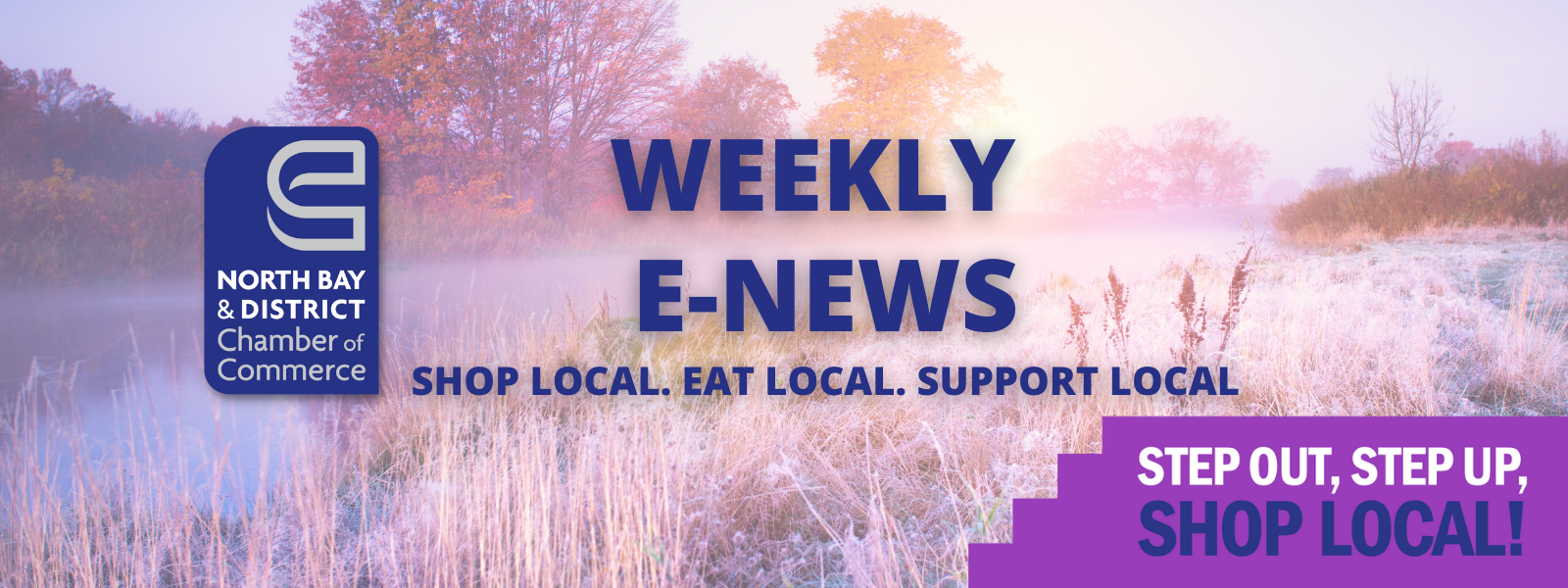 Weekly E-News November